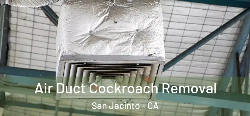  Air Duct Cockroach Removal San Jacinto - CA