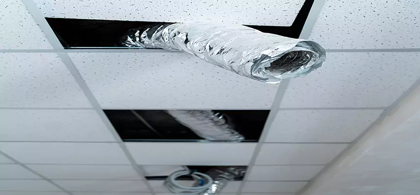 Our Air Duct Pet Hair Removal Services in San Jacinto, CA