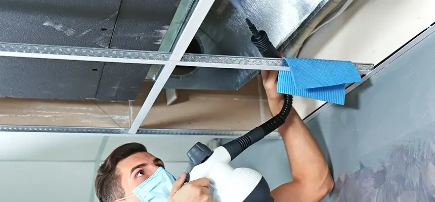 Our Air Duct Rodent Removal Services in San Jacinto, CA