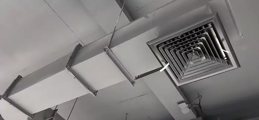 Our Pest Removal From Ducts Services in San Jacinto, CA