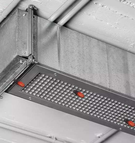 Affordable Insect Removal from Air Ducts in San Jacinto, CA