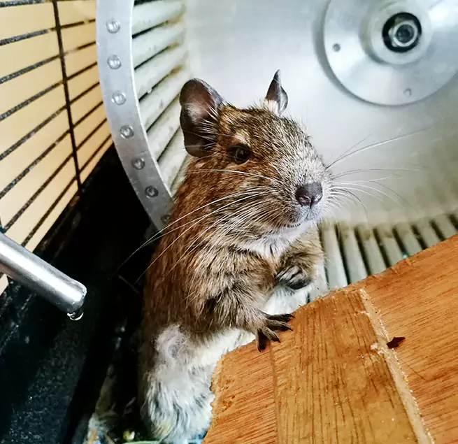 Why Homeowners & Businesses Trust Us San Jacinto, CA