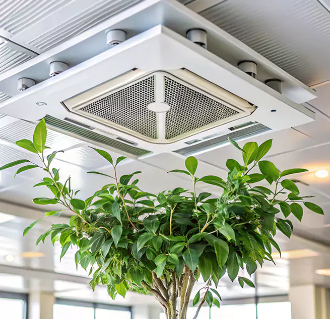 Why Homeowners & Businesses Trust Us in San Jacinto, CA?