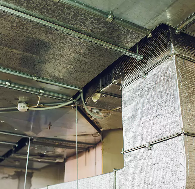 Why Homeowners & Businesses Trust Us in San Jacinto, CA?